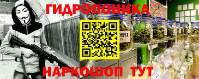 стаф Гусев