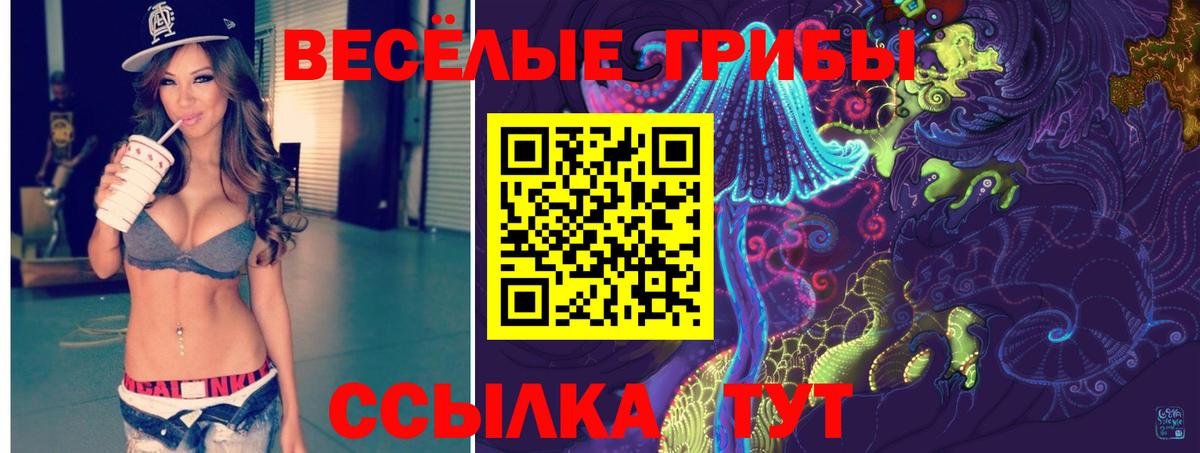 Светлоград  Галлюциногенные грибы Psilocybe  Вход с VPN 